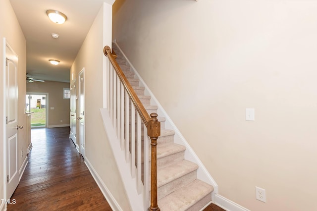 2808 Carter Finley Pl, Raleigh, NC 27606 - staircase with wood finished floors and ceiling fan