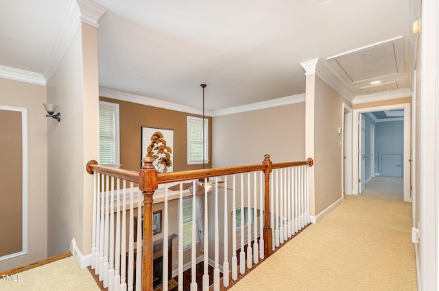 2201 Karns Pl, Raleigh, NC 27614 - corridor with attic access, crown molding, an upstairs landing, and carpet floors