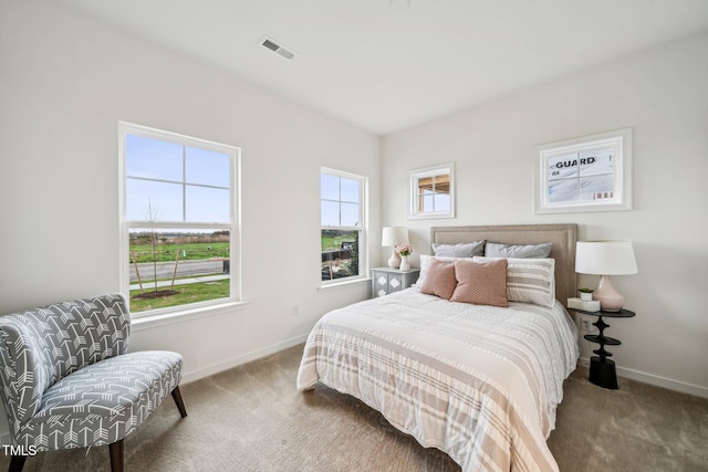 149 Cribbs Ln, Middlesex, NC 27557 - bedroom featuring carpet flooring, multiple windows, and baseboards