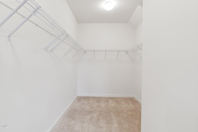 149 Cribbs Ln, Middlesex, NC 27557 - walk in closet with light colored carpet