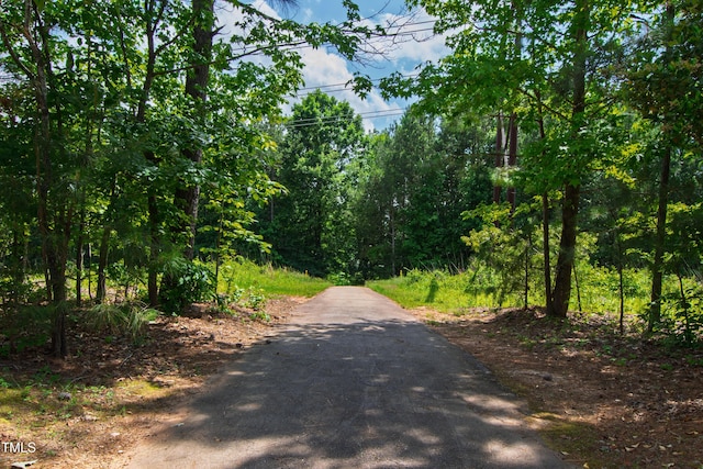 101 Eden Glen Dr, Holly Springs, NC 27540 - view of road
