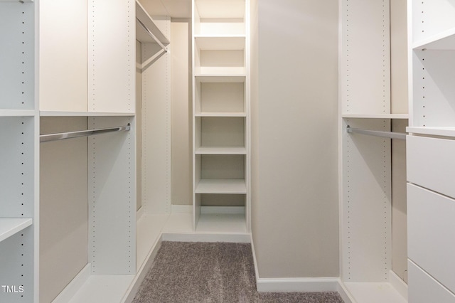503 Kinship Ln, Apex, NC 27502 - spacious closet with carpet