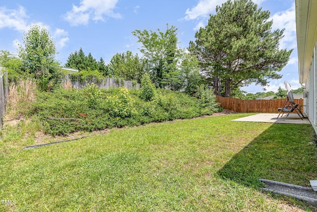 503 Kinship Ln, Apex, NC 27502 - view of yard featuring a patio