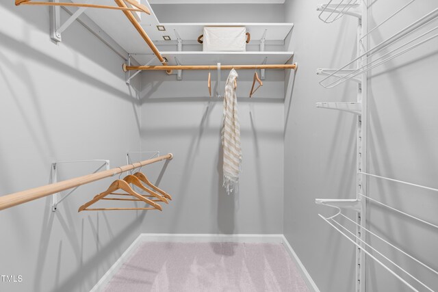 6104 New Market Way, Raleigh, NC 27609 - walk in closet with carpet flooring