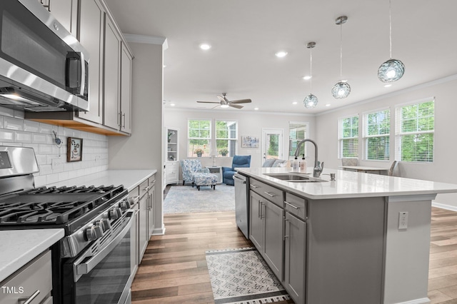 1615 Emory Ridge Way, Wake Forest, NC 27587 - kitchen with appliances with stainless steel finishes, gray cabinets, a sink, ornamental molding, and light wood finished floors