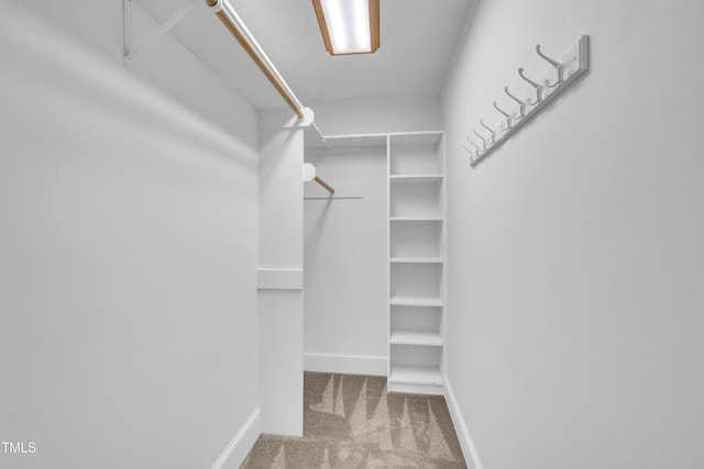 5121 Ten Point Trl, Wake Forest, NC 27587 - spacious closet with carpet