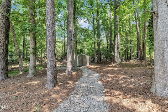 5121 Ten Point Trl, Wake Forest, NC 27587 - view of yard