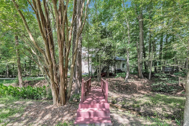 5121 Ten Point Trl, Wake Forest, NC 27587 - view of yard