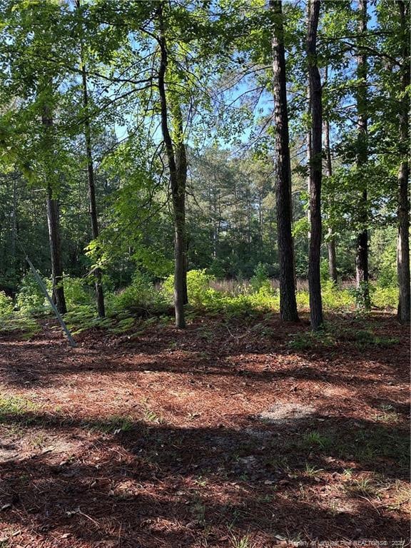 7102 Jefferson Davis Hwy, Cameron, NC 28326