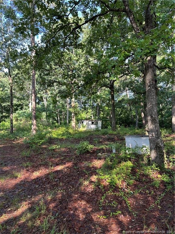 7102 Jefferson Davis Hwy, Cameron, NC 28326