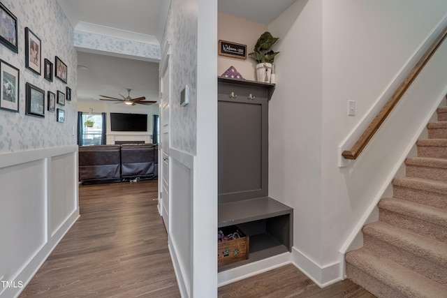 40 Bourne Dr, Franklinton, NC 27525 - mudroom with wallpapered walls, dark wood-style floors, ceiling fan, and wainscoting