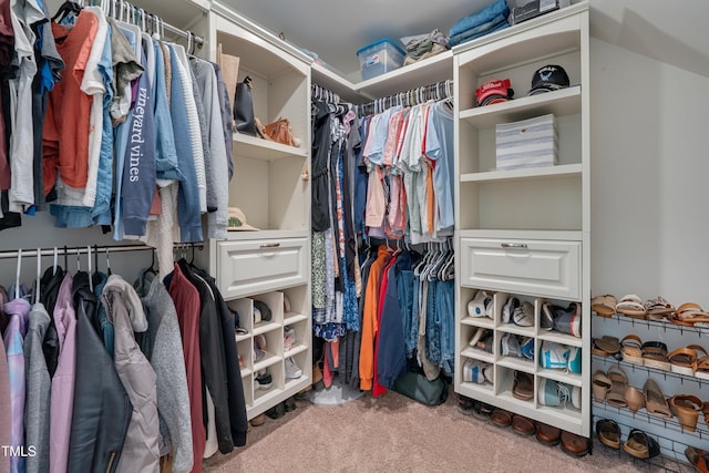 40 Bourne Dr, Franklinton, NC 27525 - spacious closet with carpet flooring