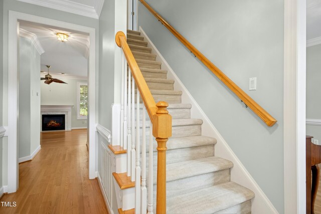 1003 Blackberry Ln, Durham, NC 27712 - staircase featuring crown molding, wood finished floors, a lit fireplace, and ceiling fan