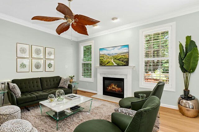 1003 Blackberry Ln, Durham, NC 27712 - living room with ornamental molding, wood finished floors, healthy amount of natural light, and a fireplace