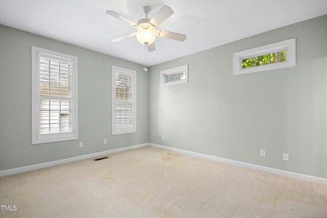 1003 Blackberry Ln, Durham, NC 27712 - spare room featuring plenty of natural light and light colored carpet