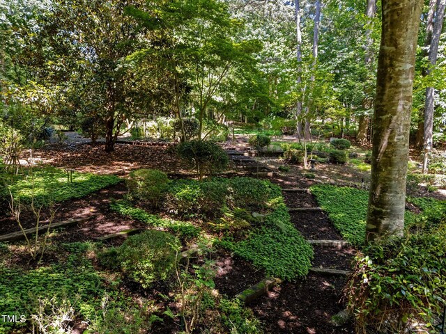11425 Horsemans Trl, Raleigh, NC 27613 - photo 48