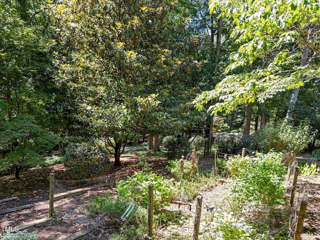 11425 Horsemans Trl, Raleigh, NC 27613 - photo 50