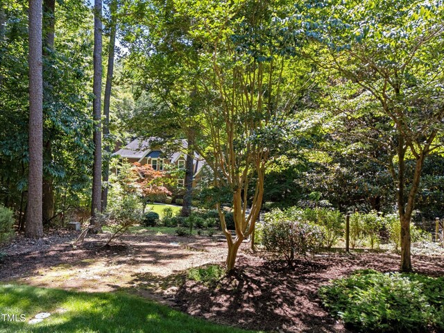 11425 Horsemans Trl, Raleigh, NC 27613 - photo 51