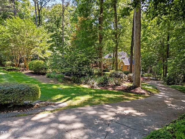 11425 Horsemans Trl, Raleigh, NC 27613 - photo 58