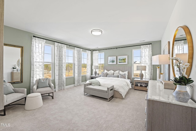 1247 Shaw View Aly Unit 201, Raleigh, NC 27601 - bedroom with light carpet