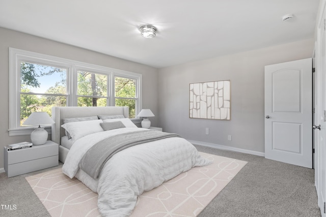 2003 Broadway Rd, Sanford, NC 27332 - bedroom featuring baseboards and light colored carpet