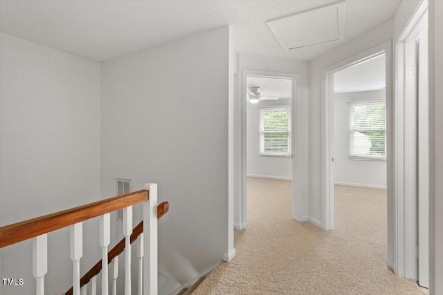 134 Luxon Pl, Cary, NC 27513 - hallway featuring an upstairs landing, carpet, and attic access