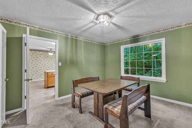 105 Trailwood Ct, Chapel Hill, NC 27516 - photo 9