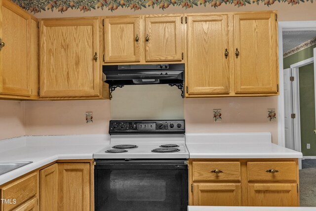 105 Trailwood Ct, Chapel Hill, NC 27516 - photo 13