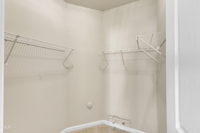 2513 Asher View Ct, Raleigh, NC 27606 - spacious closet featuring carpet floors