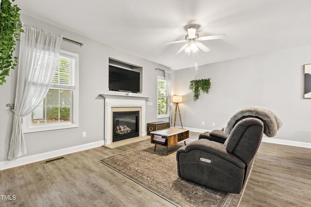 3821 La Costa Way, Raleigh, NC 27610 - living room featuring wood finished floors, baseboards, a glass covered fireplace, and ceiling fan