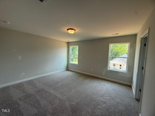 293 Gregory Village Dr, Lillington, NC 27546 - photo 14