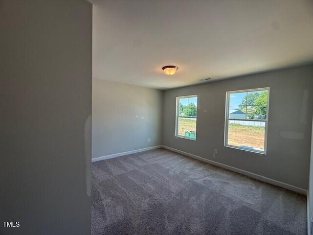293 Gregory Village Dr, Lillington, NC 27546 - photo 23