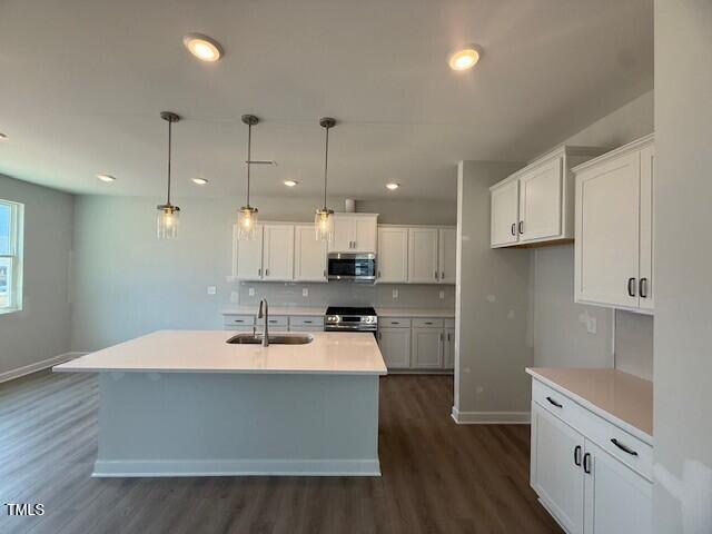 293 Gregory Village Dr, Lillington, NC 27546 - photo 2