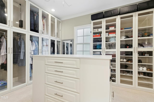 238 Michelangelo Way, Cary, NC 27518 - walk in closet with light colored carpet