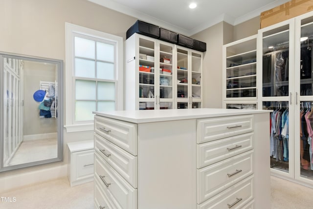 238 Michelangelo Way, Cary, NC 27518 - walk in closet with light colored carpet
