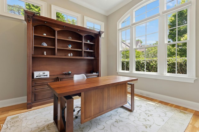 238 Michelangelo Way, Cary, NC 27518 - office with baseboards and light wood-style floors