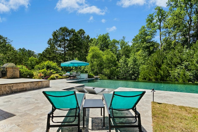 238 Michelangelo Way, Cary, NC 27518 - view of patio featuring an infinity pool and view of wooded area