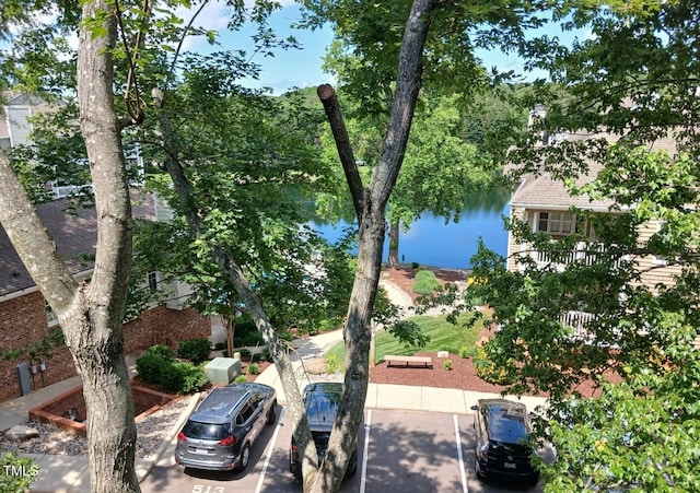 631 Springfork Dr, Cary, NC 27513 - water view