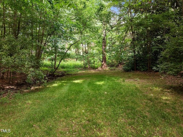 100 Silver Lining Ln, Cary, NC 27513 - view of grassy yard