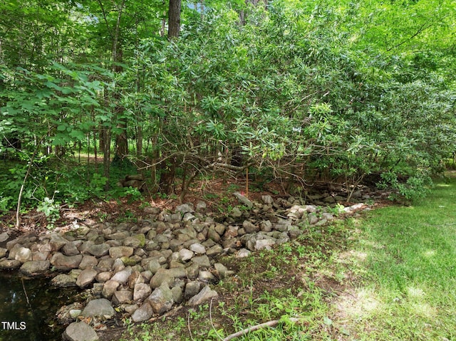 100 Silver Lining Ln, Cary, NC 27513 - view of nature