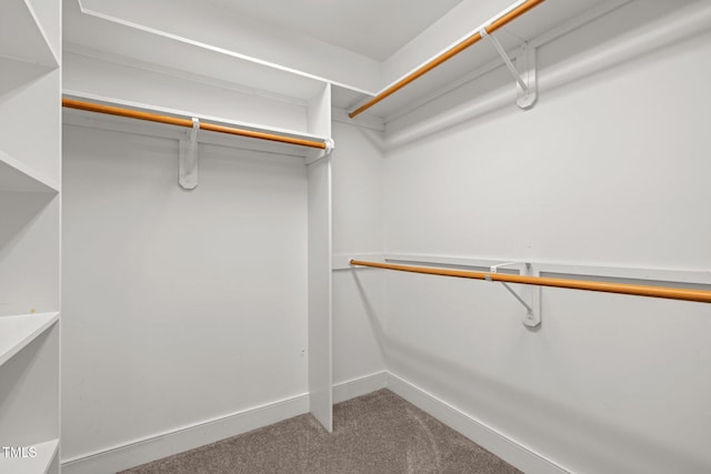 100 Silver Lining Ln, Cary, NC 27513 - walk in closet with carpet floors