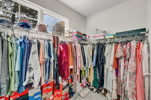 6760 Longitude Cir, Sims, NC 27880 - spacious closet with carpet floors