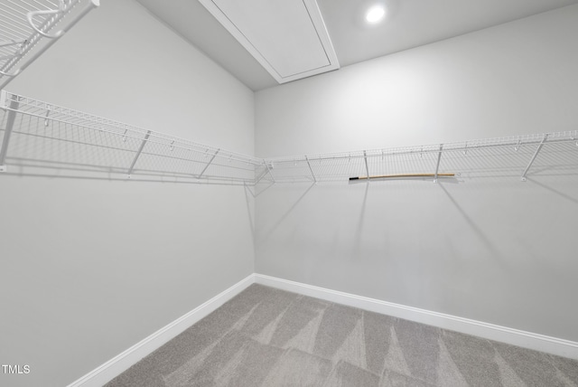 1612 White Rose Ln, Wake Forest, NC 27587 - photo 29