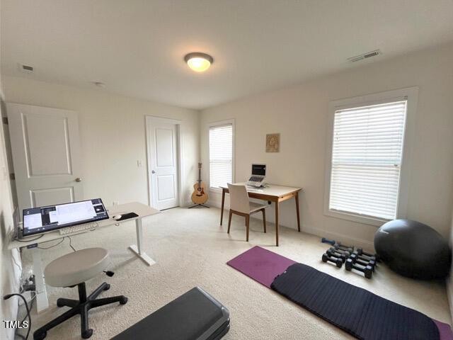 59 Tobacco Farm Way, Chapel Hill, NC 27516 - office featuring plenty of natural light and carpet flooring