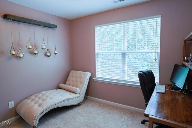 5113 Lady Of The Lake Dr, Raleigh, NC 27612 - photo 23