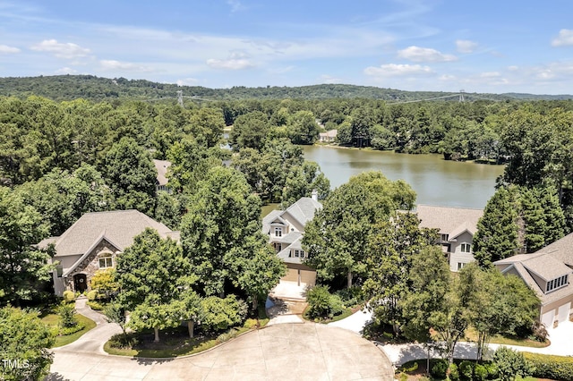 81002 Alexander, Chapel Hill, NC 27517 - bird's eye view of a forest and a nearby body of water