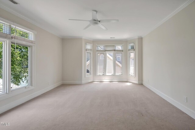 81002 Alexander, Chapel Hill, NC 27517 - unfurnished room with ceiling fan, light carpet, and ornamental molding