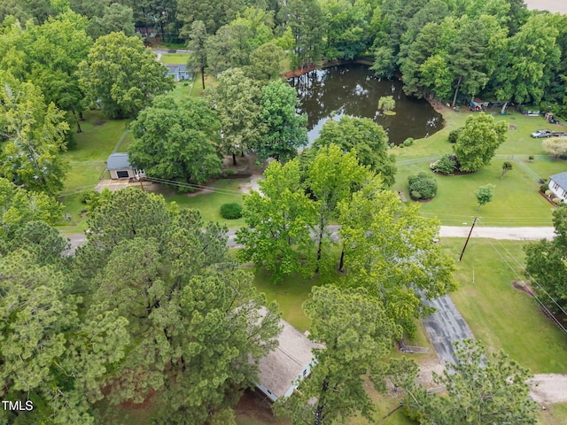 111 S Gaylee Lake Dr, Wendell, NC 27591 - aerial view of property's location with a large body of water