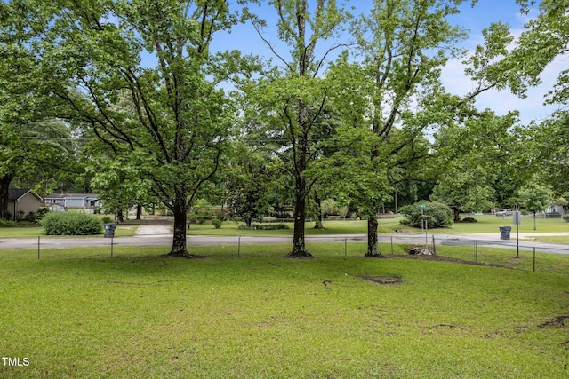 111 S Gaylee Lake Dr, Wendell, NC 27591 - view of yard