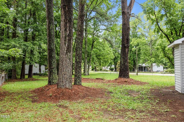 111 S Gaylee Lake Dr, Wendell, NC 27591 - view of yard